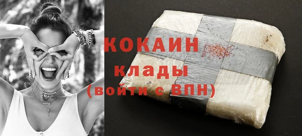 кокс Ельня