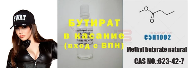 сатива Елизово