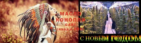 сатива Елизово