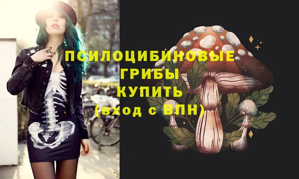 сатива Елизово