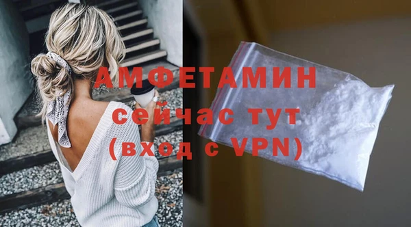 сатива Елизово