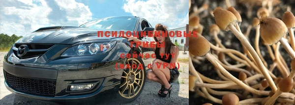 кокс Ельня