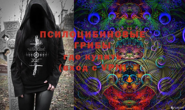 кокс Ельня