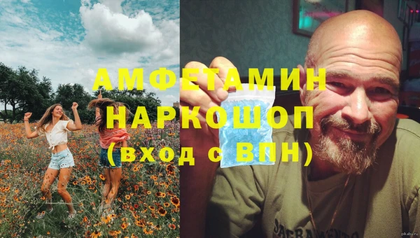 сатива Елизово